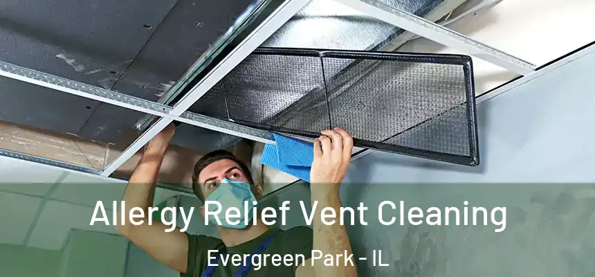 Allergy Relief Vent Cleaning Evergreen Park - IL