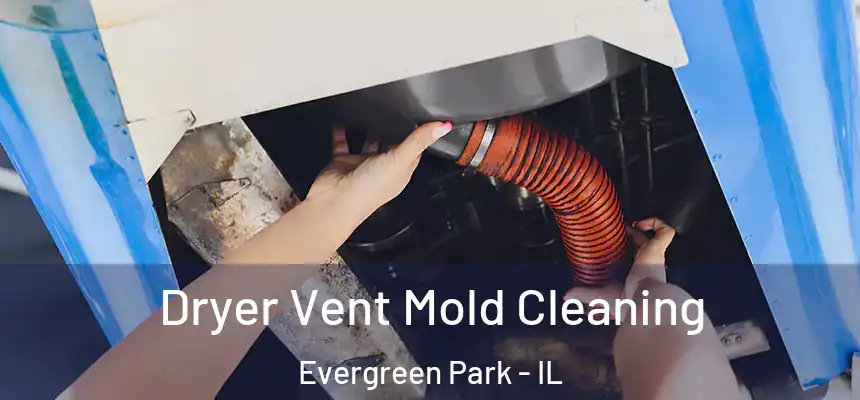  Dryer Vent Mold Cleaning Evergreen Park - IL