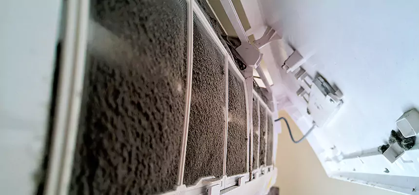 Preventive Air Duct Bacteria Removal in Evergreen Park