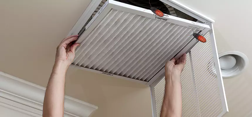 Preventive Cockroach-Proofing for Ducts in Evergreen Park