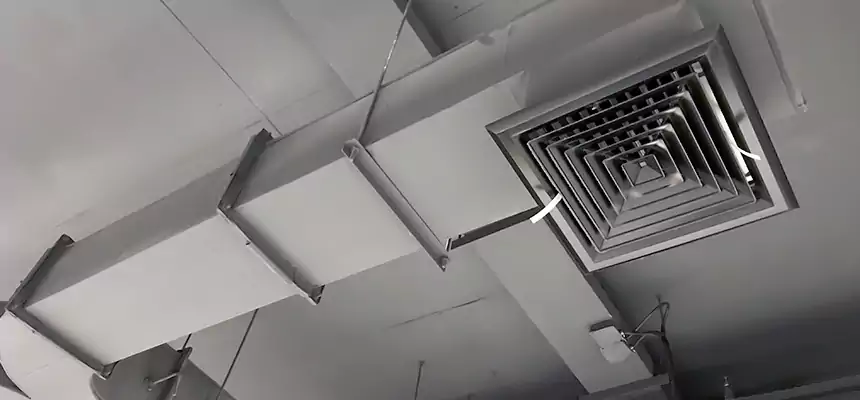 Restorative Allergy Relief Vent Cleaning – Coil, Blower & Housing Detail in Evergreen Park