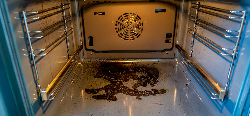 Our Dryer Vent Mold Cleaning Services in Evergreen Park, IL