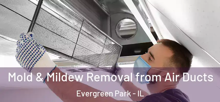  Mold & Mildew Removal from Air Ducts Evergreen Park - IL
