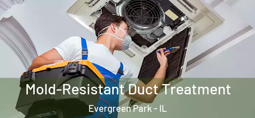  Mold-Resistant Duct Treatment Evergreen Park - IL