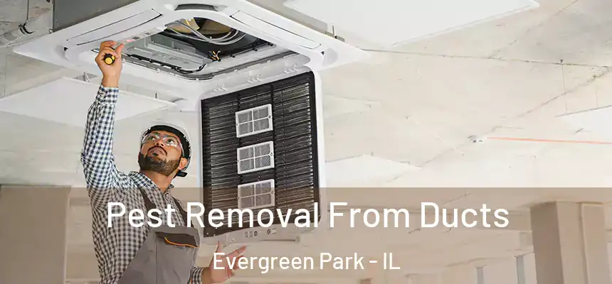 Pest Removal From Ducts Evergreen Park - IL