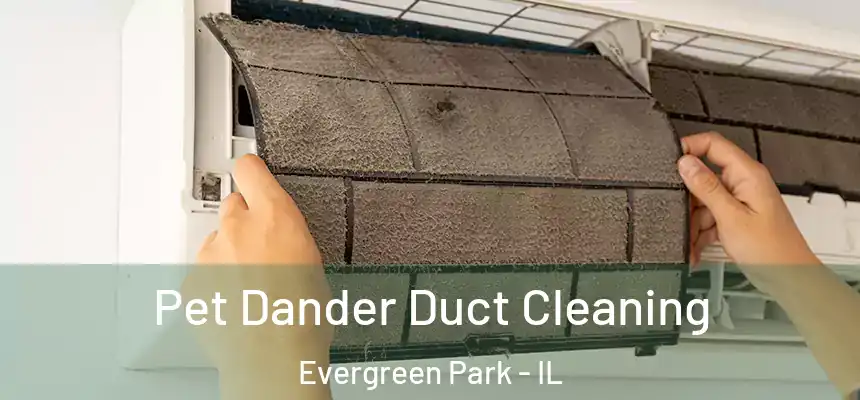  Pet Dander Duct Cleaning Evergreen Park - IL