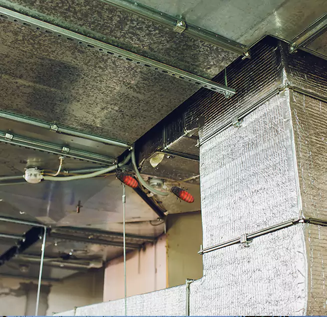 Why Homeowners & Businesses Trust Us in Evergreen Park, IL?