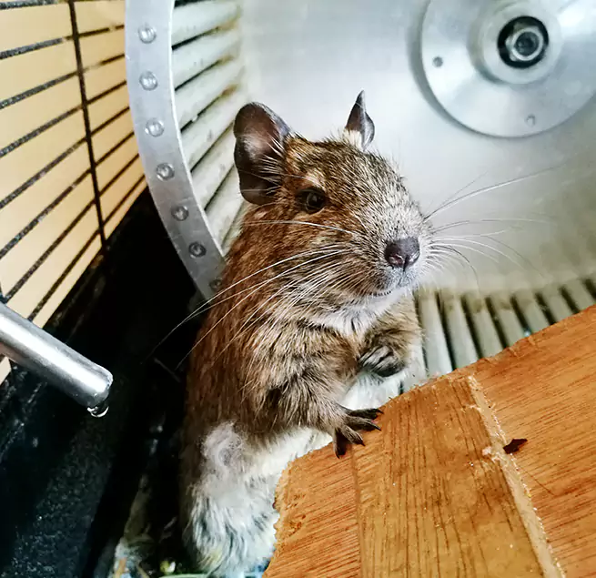 Why Homeowners & Businesses Trust Us Evergreen Park, IL?