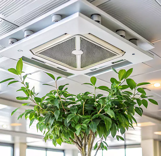 Why Homeowners & Businesses Trust Us in Evergreen Park, IL