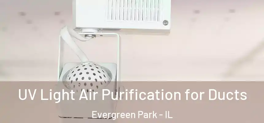  UV Light Air Purification for Ducts Evergreen Park - IL
